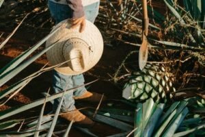 Straw Hat