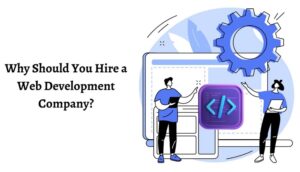 Why Should You Hire a Web Development Company
