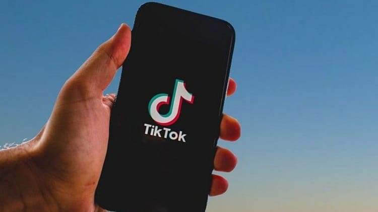 Trollishly Insights On TikTok Spark Ads