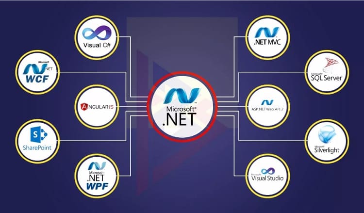 How to Choose the Best .Net Developer