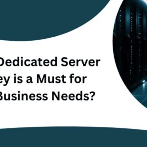 Why a Dedicated Server Turkey is a Must for Your Business Needs